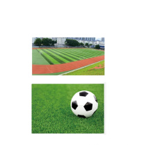 Various Widely Used Garden Carpet Football Field Lawn Filling Type